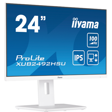 Монітор IIYAMA (XUB2492HSU-W6) [300614]