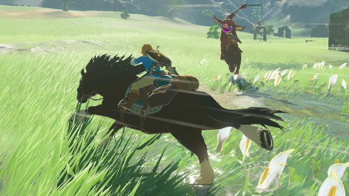 Гра консольна Switch The Legend of Zelda: Breath of the Wild, картридж (045496420055) [106177]