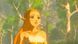 Гра консольна Switch The Legend of Zelda: Breath of the Wild, картридж (045496420055) [106177], фото 8