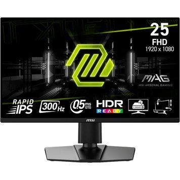 Монітор MSI (MAG 255PXF) [304612]