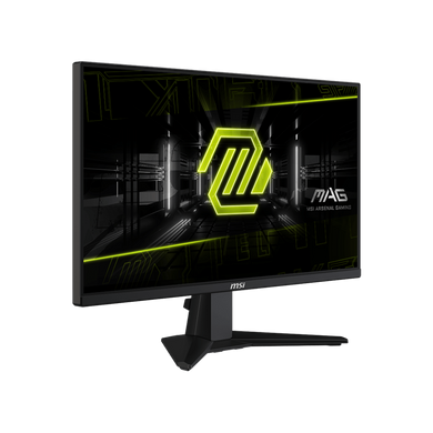 Монітор MSI (MAG 255F E20) [32067]