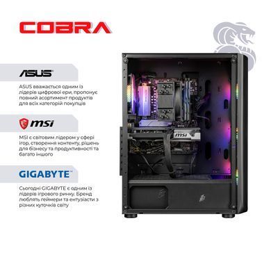 Персональний комп`ютер COBRA Gaming (A87F.32.S10.56T.20408) [612498]