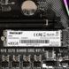 Накопичувач SSD 480GB Patriot P310 M.2 2280 PCIe NVMe 3.0 x4 TLC (P310P480GM28) [608101], фото 6