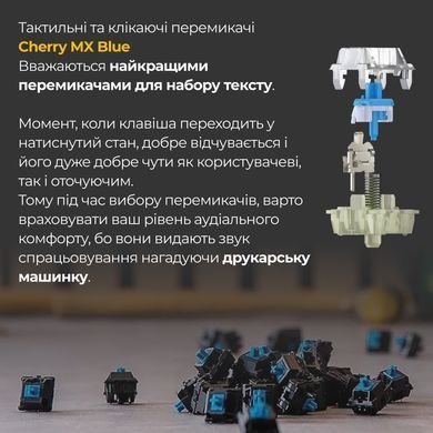 Клавіатура Ducky One 3 TKL Cherry MX Blue RGB UA USB Black (DKON2187ST-CUAPXCLAWSC1) [614118]