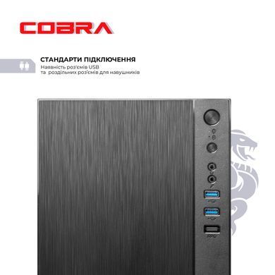Персональний комп'ютер COBRA Advanced (I144.16.H1S2.INT.24484) [619034]