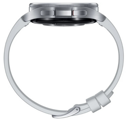 Смарт годинник Samsung Galaxy Watch 6 Classic 43mm Silver (SM-R950NZSASEK) [202544]