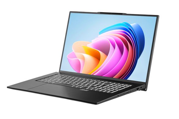 Ноутбук 2E Complex Pro 17.3" FHD IPS AG (NS70PU-17UA31)