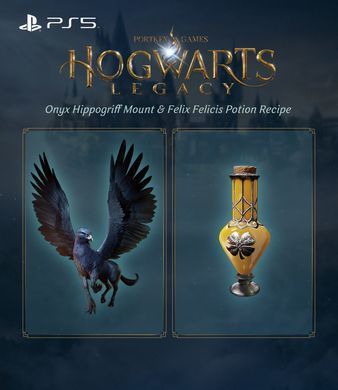 Гра консольна PS5 Hogwarts Legacy, BD диск (1194246) [112833]