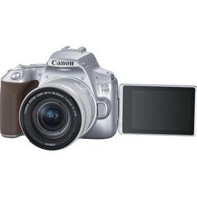 Цифр. фотокамера дзеркальна Canon EOS 250D kit 18-55 IS STM Silver (3461C003) [17584]