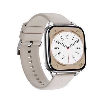 Смарт-годинник WIWU Smart Watch SW06 Silver (6977703656718) [806480]