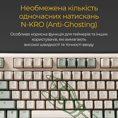 Клавіатура Ducky One 3 TKL Cherry MX Brown UA USB Matcha Cream (DKON2187-BUAPXМAEGGC1) [614119]