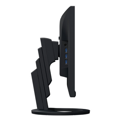 Монітор EIZO (EV2490-BK) [300505]