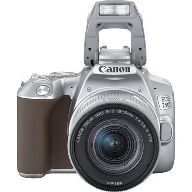 Цифр. фотокамера дзеркальна Canon EOS 250D kit 18-55 IS STM Silver (3461C003) [17584]