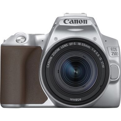 Цифр. фотокамера дзеркальна Canon EOS 250D kit 18-55 IS STM Silver (3461C003) [17584]