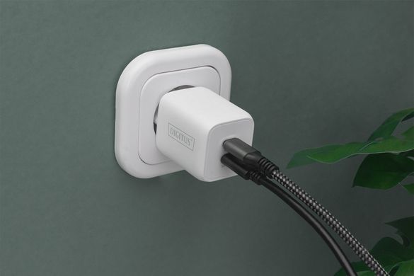 Зарядний пристрій DIGITUS 2хUSB-C, 65W, GaN (DA-10063) [108426]