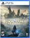 Гра консольна PS5 Hogwarts Legacy, BD диск (1194246) [112833], фото 2