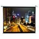 Проекційний екран ELITE SCREENS (Electric100V) [302565], фото 1