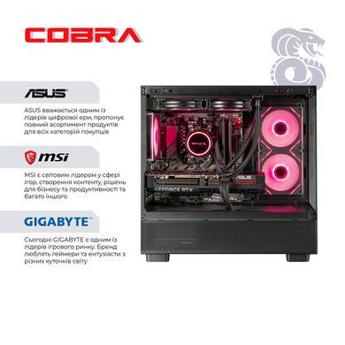 Персональний комп`ютер COBRA Gaming (A96X.64.S10.57T.19904) [605543]