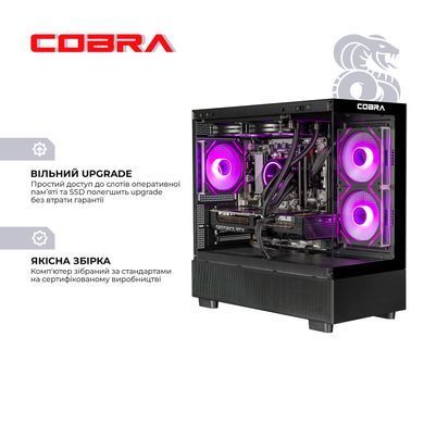Персональний комп`ютер COBRA Gaming (A96X.64.S10.57T.19904) [605543]