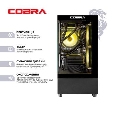 Персональний комп`ютер COBRA Gaming (A96X.64.S10.57T.19904) [605543]