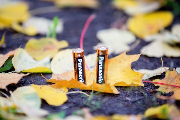 Батарейка Panasonic ALKALINE POWER лужна AA блістер, 2 шт. (LR6REB/2BP) [113309]