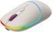 Миша бездротова Canyon MW-22 Dual Band RGB Wireless Rice (CNS-CMSW22RC) [616237], фото 4