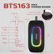 Акустична система 1.0 Energizer 16Вт Bluetooth 5.2/MicroSD/USB/AUX/FM,IPX65, чорна (BTS163) [404797], фото 11