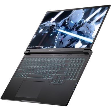 Ноутбук Thunderobot RS16 (RS16-i9139HX57C1Q240ARB) [724358]