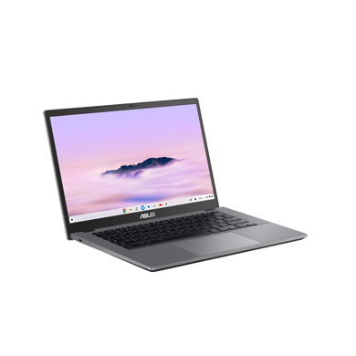 Ноутбук ASUS CX3402CVA-PQ0522 (90NX07P2-M00KZ0) [300354]