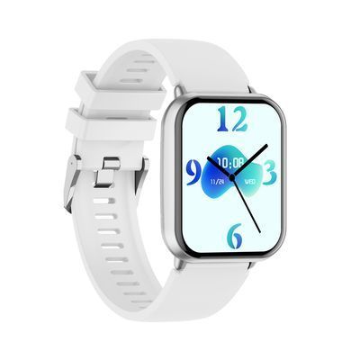 Смарт-годинник WIWU Smart Watch SW09 Silver (6976975619568) [806482]