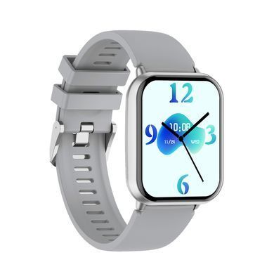 Смарт-годинник WIWU Smart Watch SW09 Silver (6976975619568) [806482]