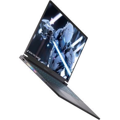 Ноутбук Thunderobot RS16 (RS16-i9139HX57C1Q240ARB) [724358]