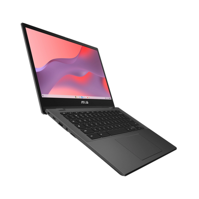 Ноутбук ASUS CM1402CM2A-NK0272 (90NX0631-M00AF0) [304956]