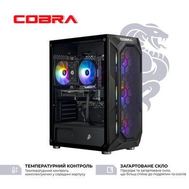 Персональний комп'ютер COBRA Advanced (A55.32.S10.55.22322) [616082]
