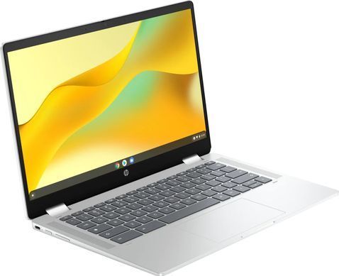 Ноутбук HP Chromebook x360 Silver (198828598608) [616151]