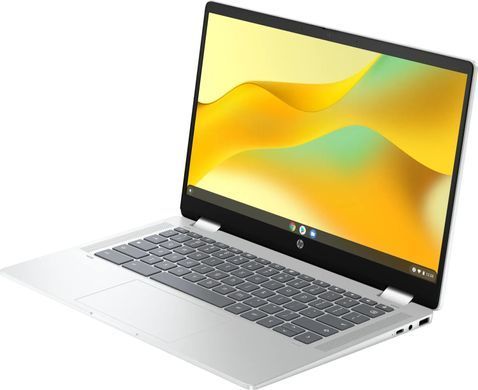 Ноутбук HP Chromebook x360 Silver (198828598608) [616151]