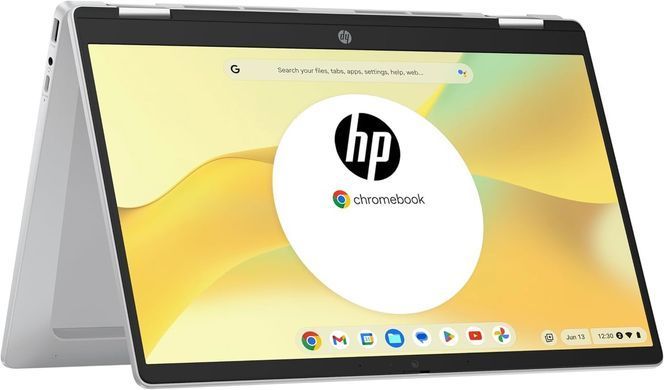 Ноутбук HP Chromebook x360 Silver (198828598608) [616151]