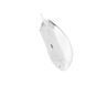 Миша A4Tech OP-750S White (OP-750S USB (White)) [620587], фото 2
