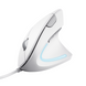 Комп'ютерна миша TRUST Verto Ergonomic Mouse White (25133) [301591], фото 3