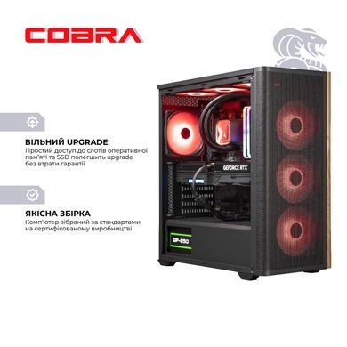 Персональний комп`ютер COBRA (A99X.32.S1.57.20417) [611013]