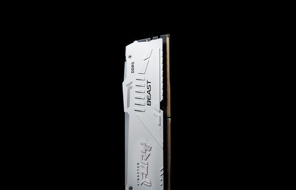 Пам'ять ПК Kingston DDR5 16GB 6000 FURY Beast Білий RGB EXPO (KF560C36BWE2A-16) [114467]