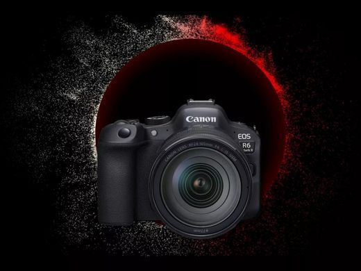 Цифр. фотокамера Canon EOS R6 Mark II + RF 24-105 f/4.0-7.1 IS STM (5666C030) [17588]