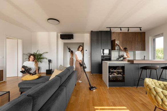 Акумуляторний пилосос Gorenje SVC296749NEBL (V24P01FP2960EU) (747436) [204229]