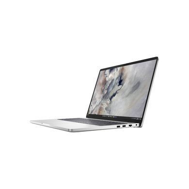 Ноутбук Dell Pro 16 (BTO108_PC16250_UA_UBU) [1000068]