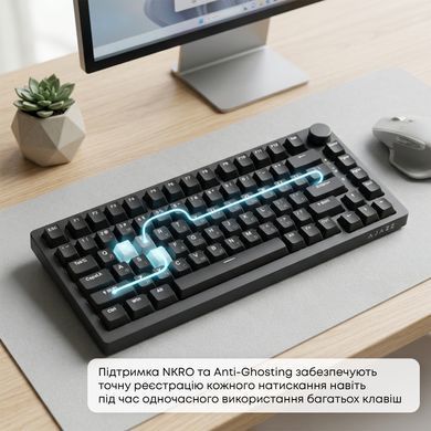 Клавіатура Ajazz AK820 Red Switch Black USB-C (AK820-R-B) [619473]