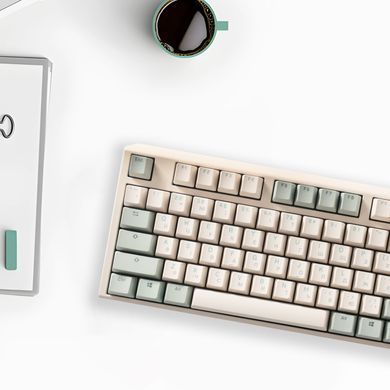 Клавіатура Ducky One 3 Cherry MX Speed Silver UA USB Matcha Cream (DKON2108-PUAPXМAEGGC1) [614124]