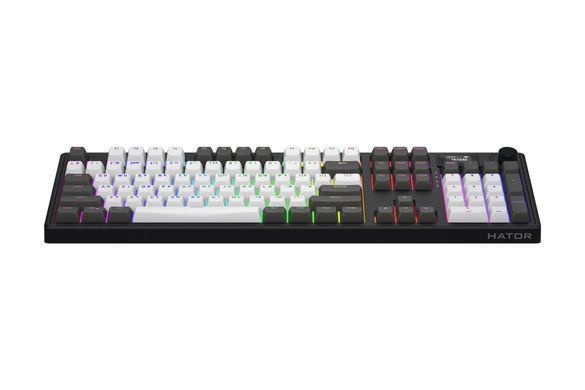 Клавіатура бездротова Hator Skyfall 100 Pro Wireless Grey/Black (HTK4100UA) [618089]