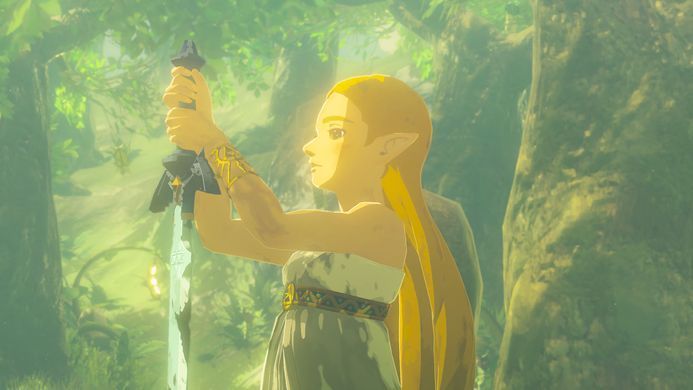 Гра консольна Switch 2 Legend of Zelda: Breath of the Wild, картридж (0045496312664) [111591]