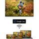 Телевізор Thomson Google TV 43" UHD (43QG7C14) [609284], фото 12