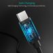 Кабель Choetech USB Type-C - USB TypeC (M/M), 0.5 м, Black (CC0001) [604000], фото 2